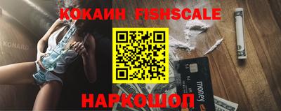 индика Пенза