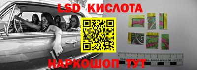 индика Пенза