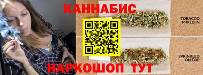 индика Пенза